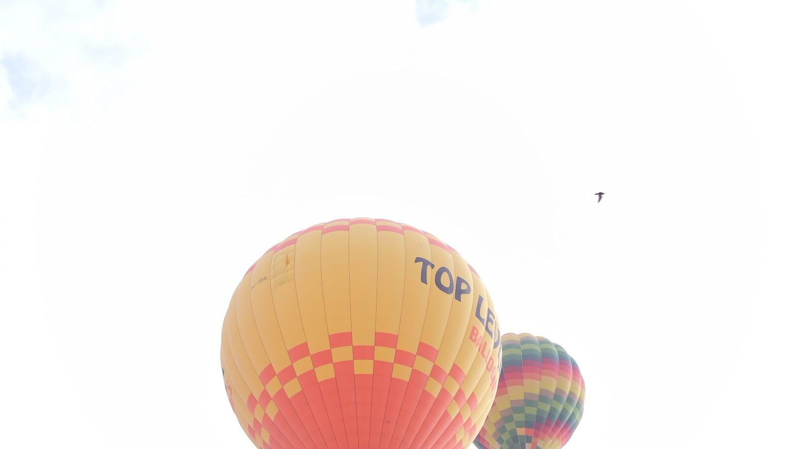 A balloon in flight above Luxor