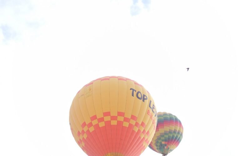 A hot air balloon seen from another basket, high above Luxor against soft cloud