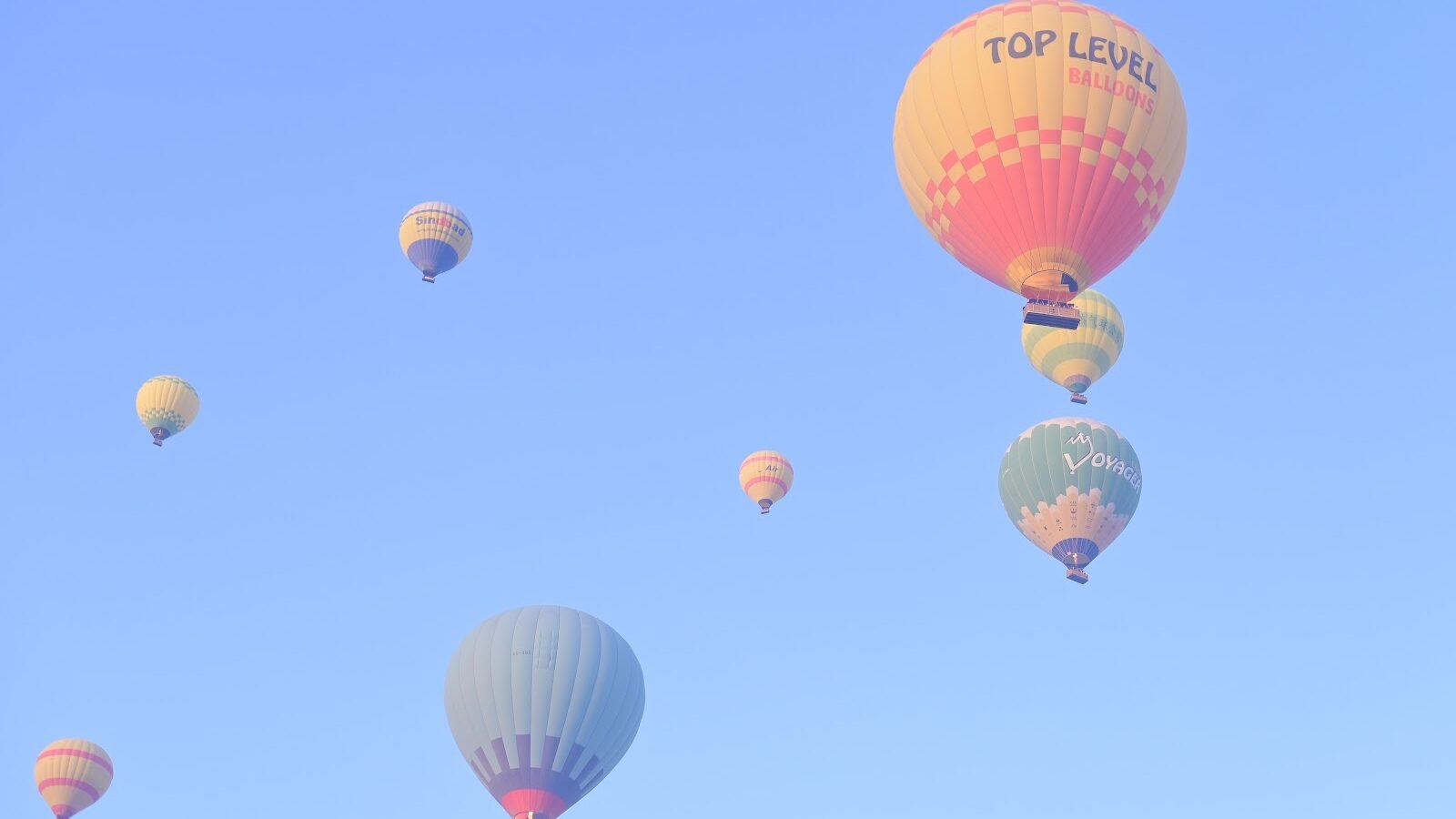 A cluster of hot air balloons drifting across a bright blue sky over Luxor
