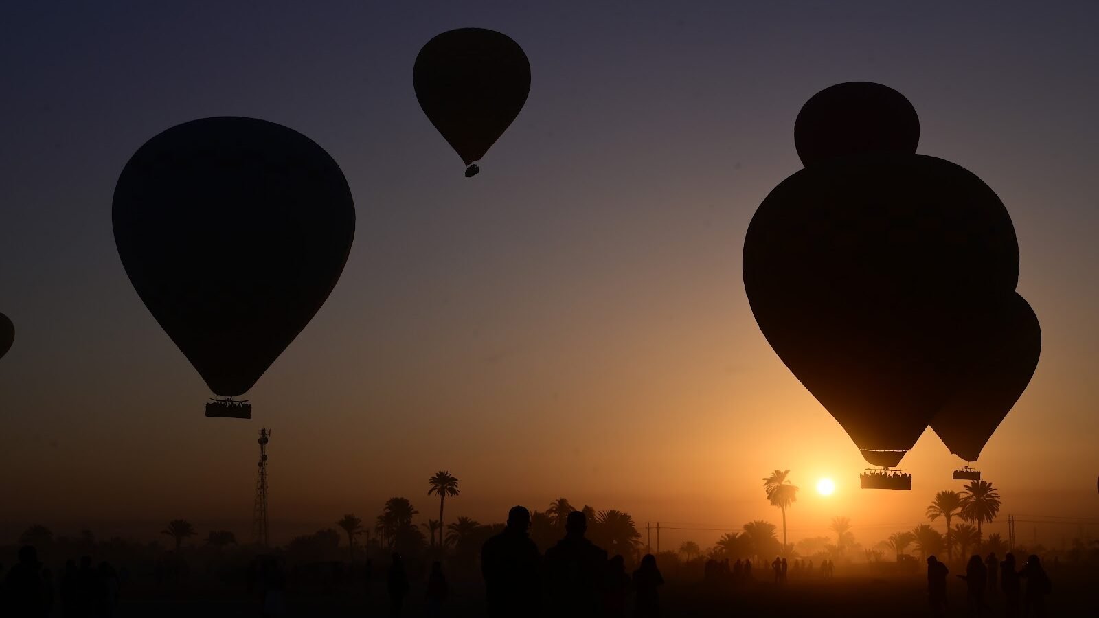 Balloons silhouetted over Luxor’s palms at sunrise