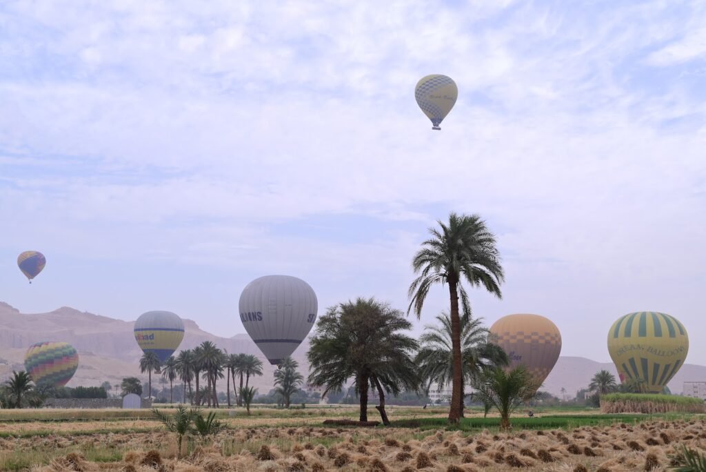 A dozen hot air balloons drifting low over palm groves and green fields on Luxor's West Bank at sunrise