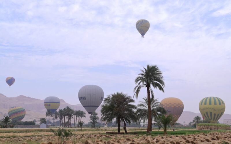 A dozen hot air balloons drifting low over palm groves and green fields on Luxor's West Bank at sunrise